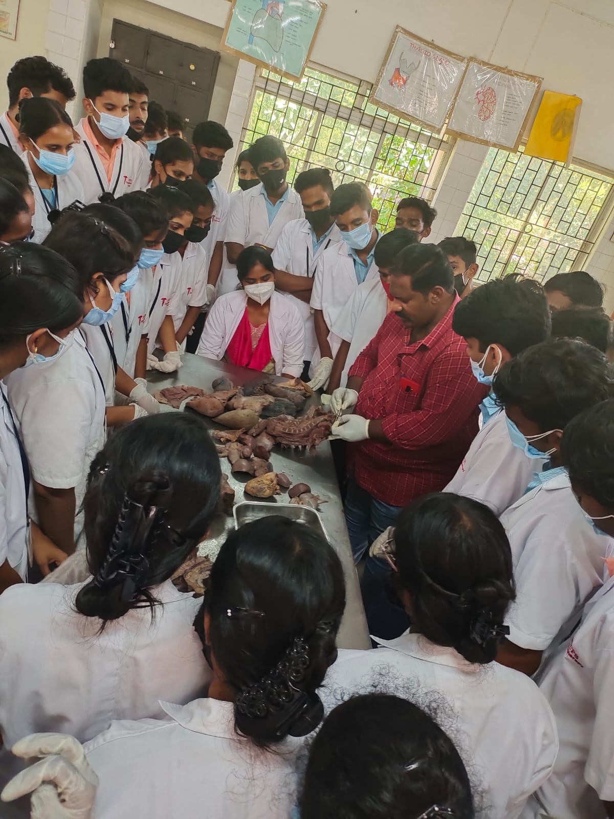 Anatomy Lab 1